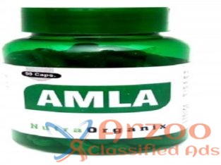 Buy Herbal Amla Fruits Capsules In Bulk