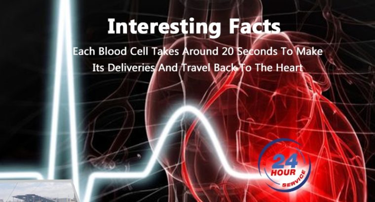 Search For The Best Heart hospital in Faridabad