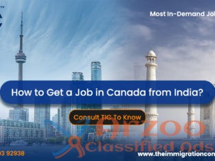 Best Canada Immigration Consultants In Goa – TIC