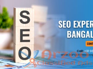 SEO Expert In Bangalore | SEO Freelancer