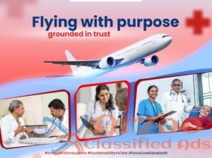 For Easy Transportation in Ranchi Choose Greenbird