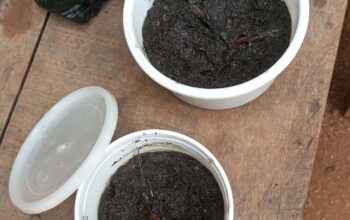 powerful spiritual herbalist +2348075710213
