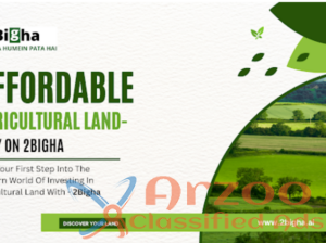 Expert Advice on Buying Farm Land for Sale Near Me