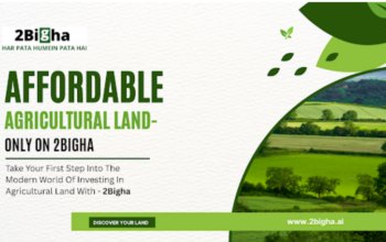 Expert Advice on Buying Farm Land for Sale Near Me