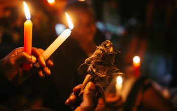 VERIFIED EFFECTIVE +256741372197 WIN COURT CASE