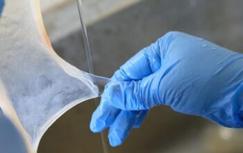 Acesso Biologics – Amniotic Tissue Products